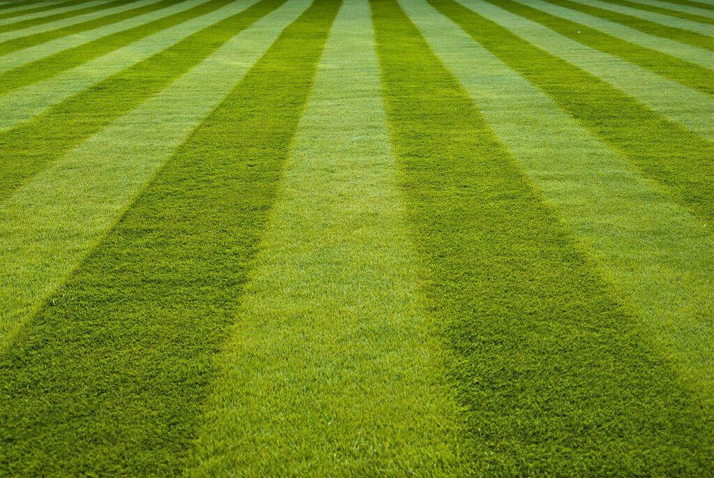 Bold green mowing stripes across a freshly cut lawn
