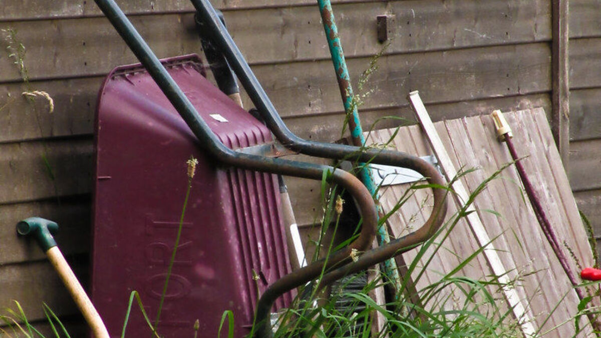 Wheelbarrow and garden tools resting against a wooden shed among weeds
